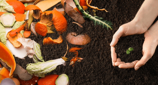 Naturdünger mit Gemüse und Früchteabfall