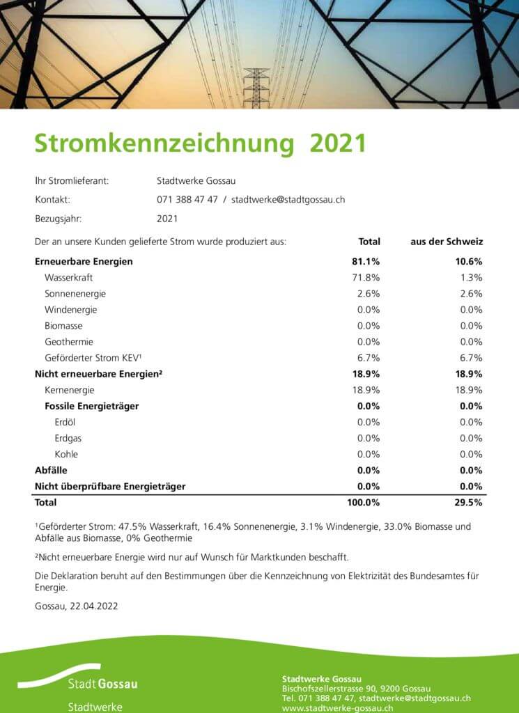 thumbnail of Stromkennzeichnung_2021
